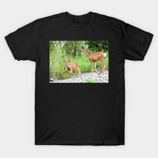 Baby Deer T-Shirt